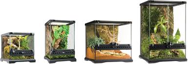 Glass Enclosures For Bioactive Terrariums Neherp Your One Stop Vivarium Shop