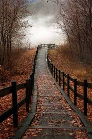 Pin By Sarah Knipe On Fall Holidays Halloween Thanksgiving Scenery November Photo Challenge Photo