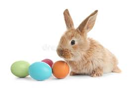 The most prominent secular symbol of the christian holiday, the easter bunny, was reportedly. 134 307 Easter Bunny Photos Free Royalty Free Stock Photos From Dreamstime