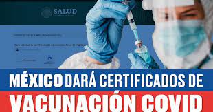 Según la cartera de estado, tras el envío del mail el certificado llegará en 72 horas. 1dozc 84dbchm