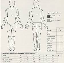 Draw their proposed escharotomy lines on the mannequin with a marker pen (e.g. Burns
