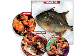 Maybe you would like to learn more about one of these? Triggerfish Look Who Is Eating Your Favourite Fish