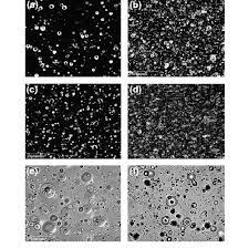 Submit your support id is: Optical Micrographs Of Bpapc Sbs A 98 2 Wt As Prepared Film B Download Scientific Diagram