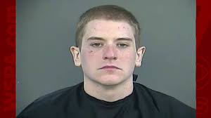 Man holds suspected van thief at gun point until cops arrive