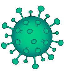 Elizabeth fischer uses an electron microscope to capture images of the coronavirus, which is about 10,000 times smaller than the width of a human hair. Virus Zeichnung Coronavirus Kostenloses Bild Auf Pixabay