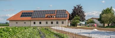Öffnungszeiten von „gaststätte haus sieburg in krefeld öffnungszeiten telefonnummer kontaktdaten anfahrt bewertungen. Start Gemusebetrieb Sieburg Elfriede Und Peter Sieburg