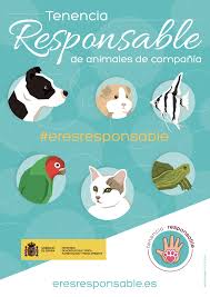 La tenencia responsable de mascotas, es ser sensibles y respetuosos de estos animales para procurarles bienestar, comida y sobre todo amor. Tenencia Responsable De Animales Podemos Frenar El Abandono Tiempo De Actuar