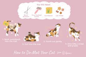There are 12 cat hair removal for sale on etsy, and they cost $16.90 on average. How To Painlessly De Mat A Cat