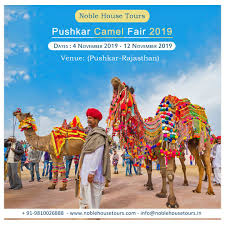 During this time the quite and arid town comes alive with the pushkar camel fair when the live cattle stock owners come here to trade their camels and other animals. Pin On Pushkar Camel Fair 2019