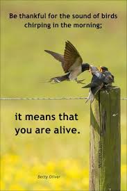 # bye # thank you # thanks # trash # grateful. Be Thankful You Are Alive