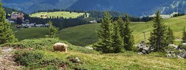 Arosa bärenland ⭐ , switzerland, graubünden, plessur, arosa: Arosa Barenland Ausflugsziele Arosa