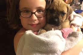 Fundraiser for Bruce Sauber by Kelly Feeney Bollinger : Big Bucks for "Bug"