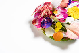 I dropped the lemon tart was born. Massimo Bottura Good Food Is No Longer Enough