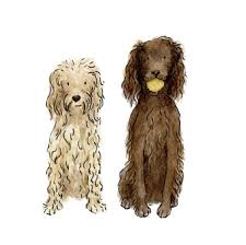 It was developed in the state of wisconsin during the 19th century from a number. Are Cocker Spaniels The Right Dog For You Scrumbles