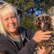 Where to find Seramas?