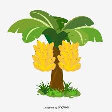 Design Of Hand Drawn Vector Map Of Banana Tree Leaf Grass Tree Png And Vector With Transparent Background For Free Download In 2020 How To Draw Hands Banana Leaves Watercolor Cartoon Trees About 1% of these are stuffed & plush a wide variety of banana cartoons options are available to you, such as season, supply type, and technics. pinterest