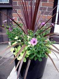 Nice Combo Garden Containers Flower Pots Container Gardening