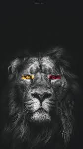 Black And White Dark Theme Lion Wallpaper 4k Pin On Natura