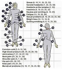 Accupresure Cupping Therapy Acupressure Treatment Acupressure Points Chart