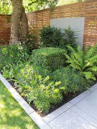 Evergreen Structure In A Shady Bed Box Cube Euphorbia Ferns Yew Small Garden Design Small Garden Garden Design
