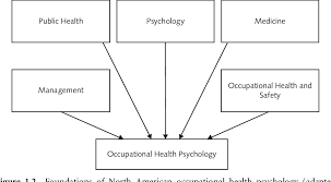 Learn about the relationship between stress and physical and mental health and the treatment of abnormal behavior, including psychological disorders. Pdf An Introduction To Occupational Health Psychology Semantic Scholar