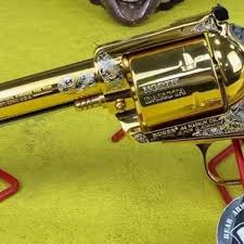 Image result for Dakota Beige 1987 Colt