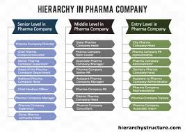 Hierarchy In Pharma Company Pharma Companies Company Structure Pharma