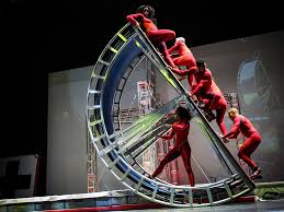 Image result for Streblochaete