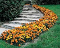 Realiser Une Bordure De Fleurs Bordure De Fleur Fleurs Vivaces Amenagement Jardin