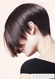 Hilfreiche informationen zu vidal sassoon. Frisuren Bilder Kurzer Bob Im Facon Schnitt Frisuren Haare