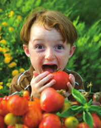 Child & Adolescent Obesity Provider Toolkit