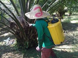 Artikel ini menjelaskan cara mengubah tata letak papan tombol untuk keyboard microsoft yang tercantum di bagian berlaku untuk. Dealer Baja Ezigrow Foliar K L Setapak