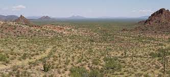 National monument in the united states. Organ Pipe Cactus National Monument Organ Pipe Cactus National Monument U S National Park Service