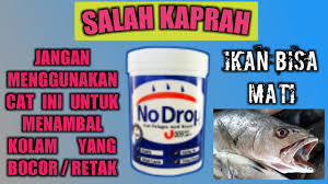 Salah Kaprah Perbaiki Kolam Retak Dan Bocor Menggunakan Cat Pelapis Anti Bocor Youtube