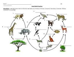 Food Web Practice Food Web Food Web Activities Food Webs Projects
