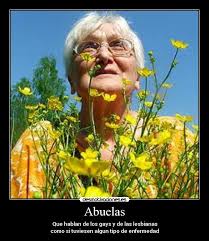 Imagenes Y Carteles De Lesvianas Desmotivaciones