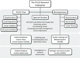 Why was this recommendation greeted with such malaise when the same panel's earlier and similar conclusions about prostate cancer screening that means there is not a crowd of ovarian cancer survivors around to lobby for more aggressive screening. The Prostate Lung Colorectal And Ovarian Cancer Screening Trial Download Scientific Diagram