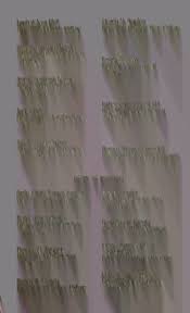 1966 May Memphis State University commencement program