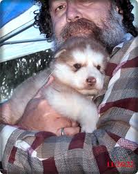 Puppies had their first Visitors yesterday!