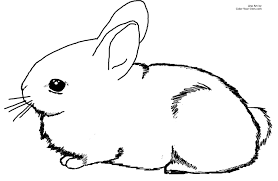 Hours of fun await you by coloring a free drawing animals rabbit. Cute Bunny Coloring Pages To Print Coloring Home