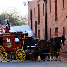 Check spelling or type a new query. Cattle Drive At The Fort Worth Stockyards Fort Worth Texas B