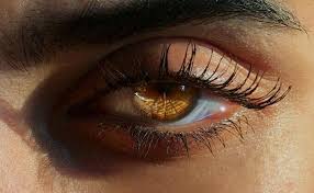 Pin By Filip Czyzewski On A In 2020 Aesthetic Eyes Amber Eyes Color Honey Eyes Color