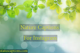 When that happens, we turn to our favorite song lyrics to get the job done. 75 Nature Captions For Instagram Traveler Nature Lovers Photos