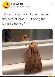 Pin On Funny And Cute
