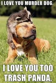 101 Funny I Love You Memes To Share With People You Like Cute Animals Funny Animals Animals