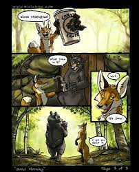 From wikifur, the furry encyclopedia. 180 Screwbald Blotch Ideas Furry Art Furry Animal Art