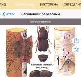 Télécharger Экогид - Насекомые-вредителиpour iPhone / iPad sur l'App Store  (Références)