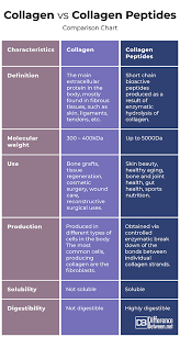 difference between collagen and collagen peptides