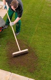 Another benefit of top dressing the lawn is that it will help to even out any lumps. How To Topdress A Lawn