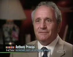 On Lisa Rein's Radar: Shrub Watch Archives